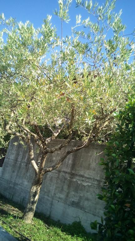 דירות Salionze Casa Vacanze I Borghi מראה חיצוני תמונה